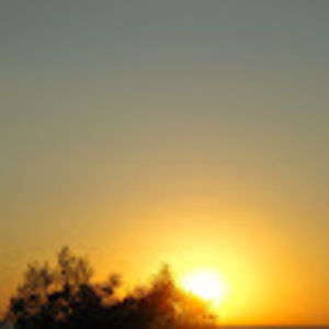 Meet your Posher, Laya